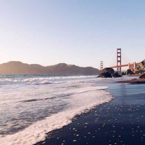 Meet your Posher, Paul